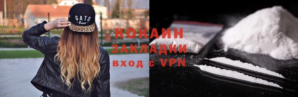 крисы Горняк