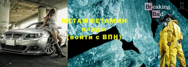крисы Горняк