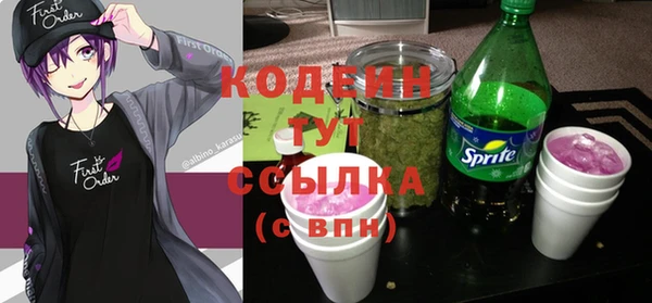 крисы Горняк