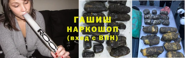 крисы Горняк