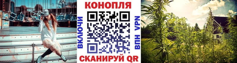 Конопля конопля  Купить  Талица 